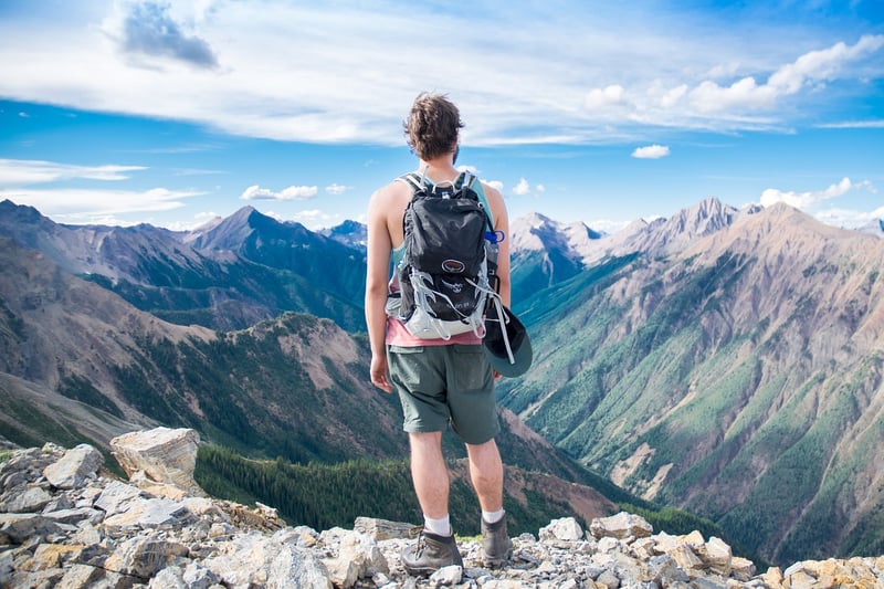 Patagonia Black Hole Backpack